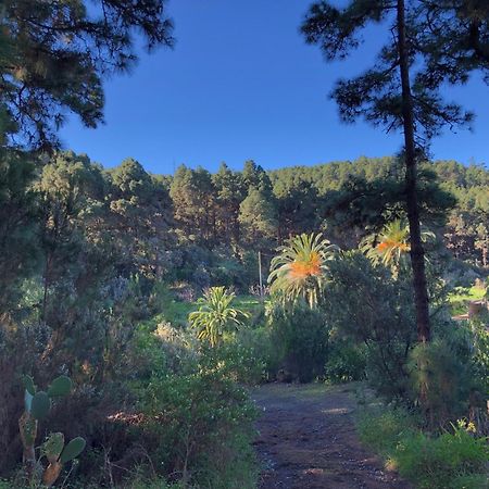 Monte Frio De Tenerife La Guancha Zewnętrze zdjęcie