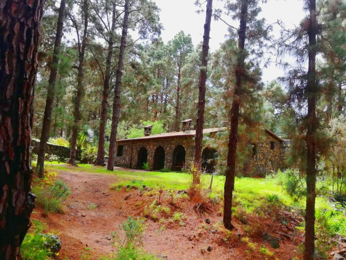 Monte Frio De Tenerife La Guancha Zewnętrze zdjęcie