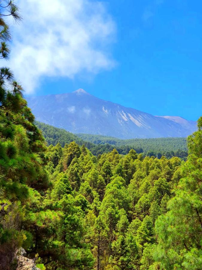 Monte Frio De Tenerife La Guancha Zewnętrze zdjęcie