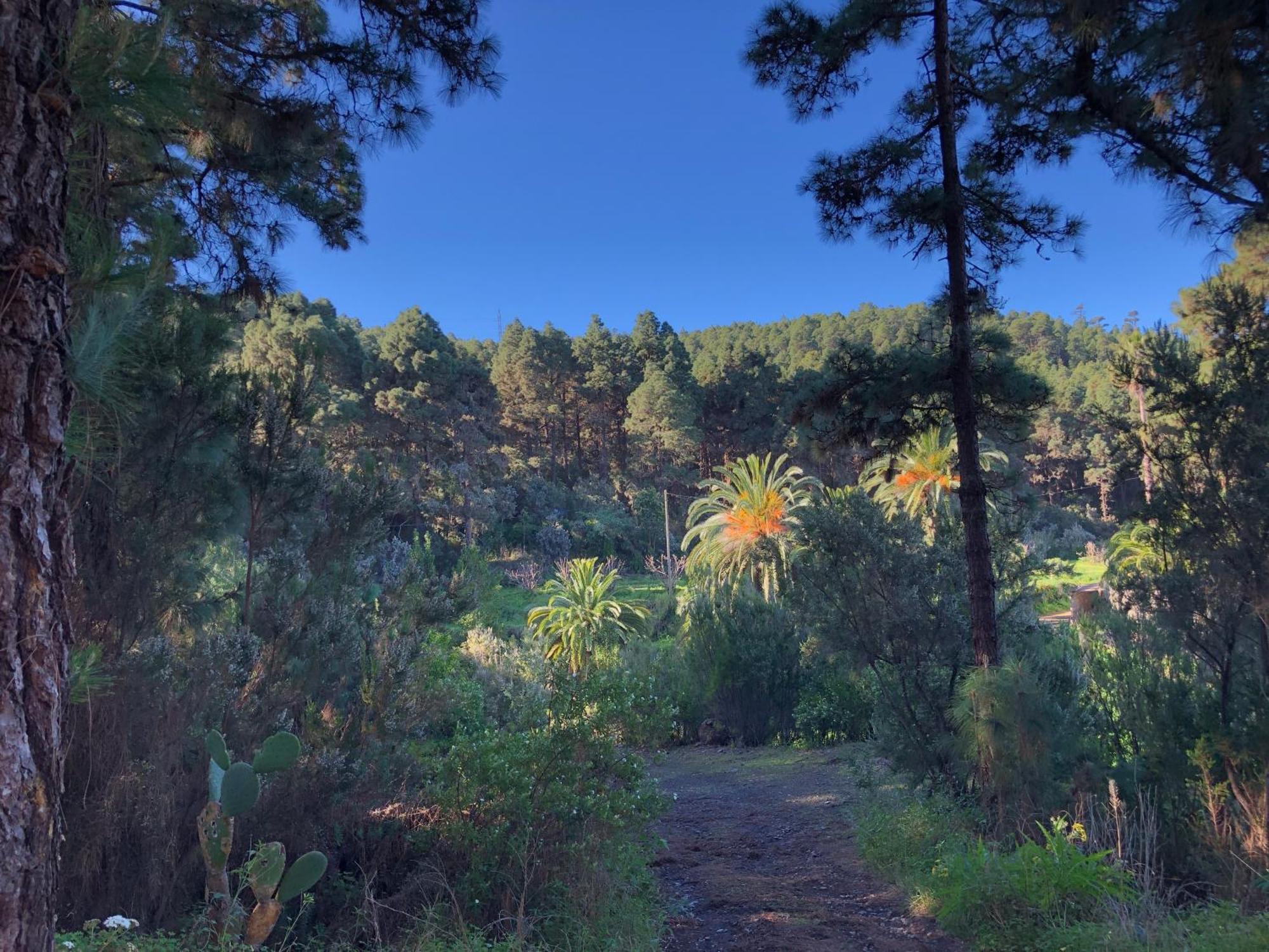 Monte Frio De Tenerife La Guancha Zewnętrze zdjęcie