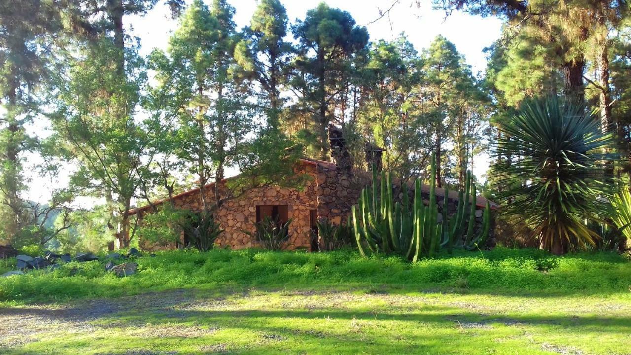 Monte Frio De Tenerife La Guancha Zewnętrze zdjęcie