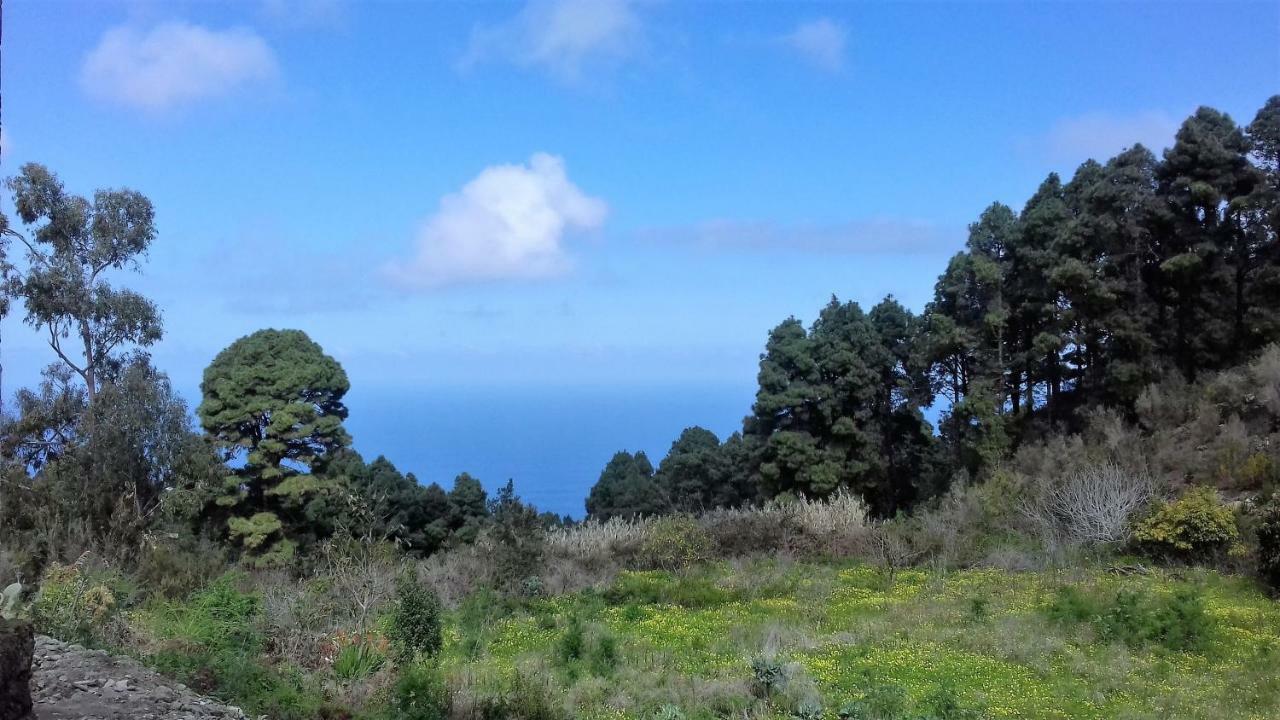 Monte Frio De Tenerife La Guancha Zewnętrze zdjęcie
