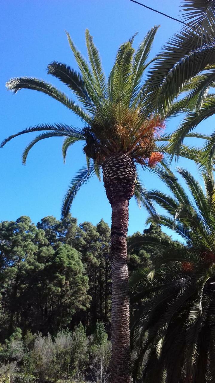 Monte Frio De Tenerife La Guancha Zewnętrze zdjęcie